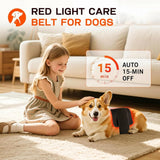 Banda de Luz Roja Clocness para perros, ajustable.