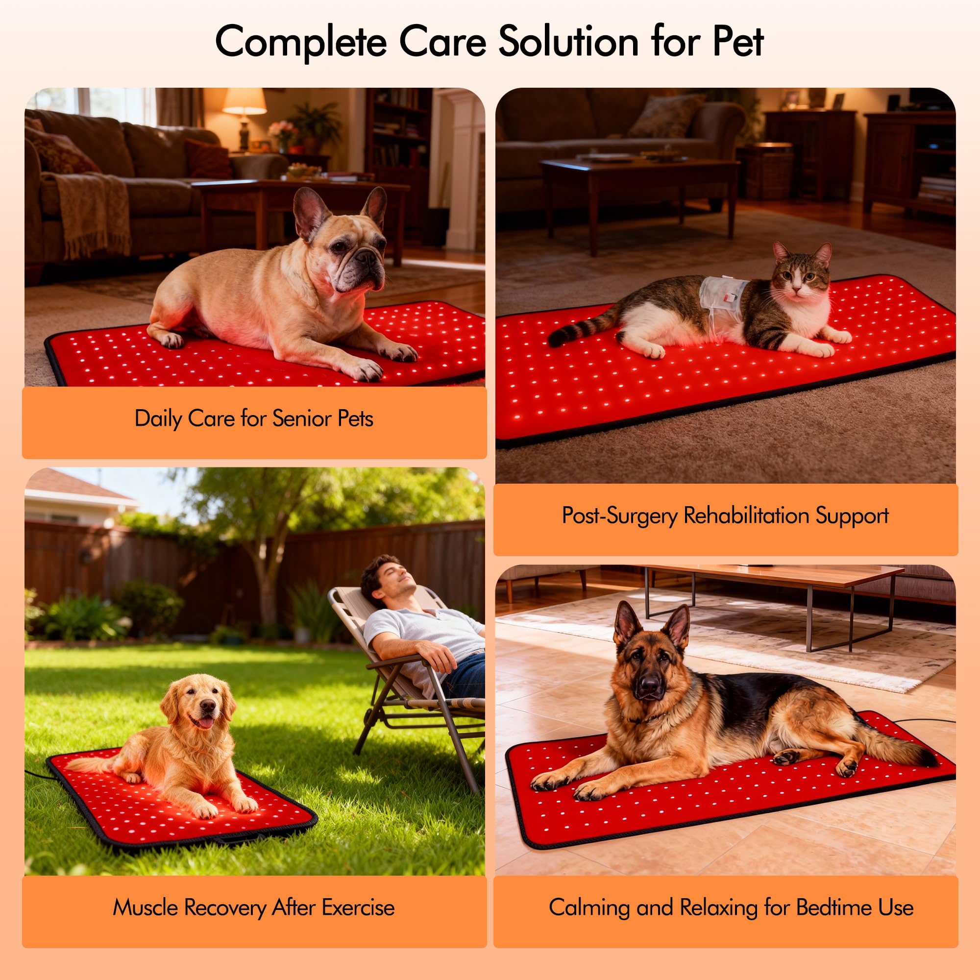 Clocness tamaño grande, ideal para perros pequeños y medianos