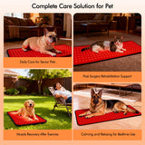 Clocness tamaño grande, ideal para perros pequeños y medianos