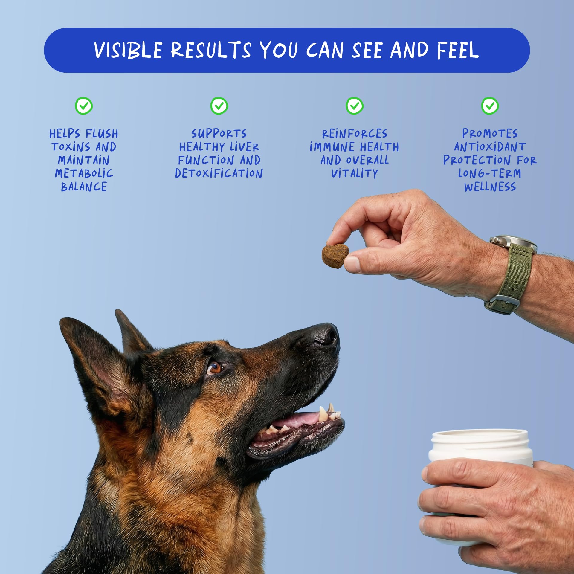 Coco y Luna Fórmula veterinaria para perros — ingredientes seguros y sin colorantes