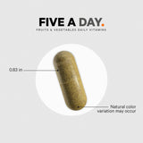 Codeage Instantfood Five A Day: envase durable pensado para uso diario en casa
