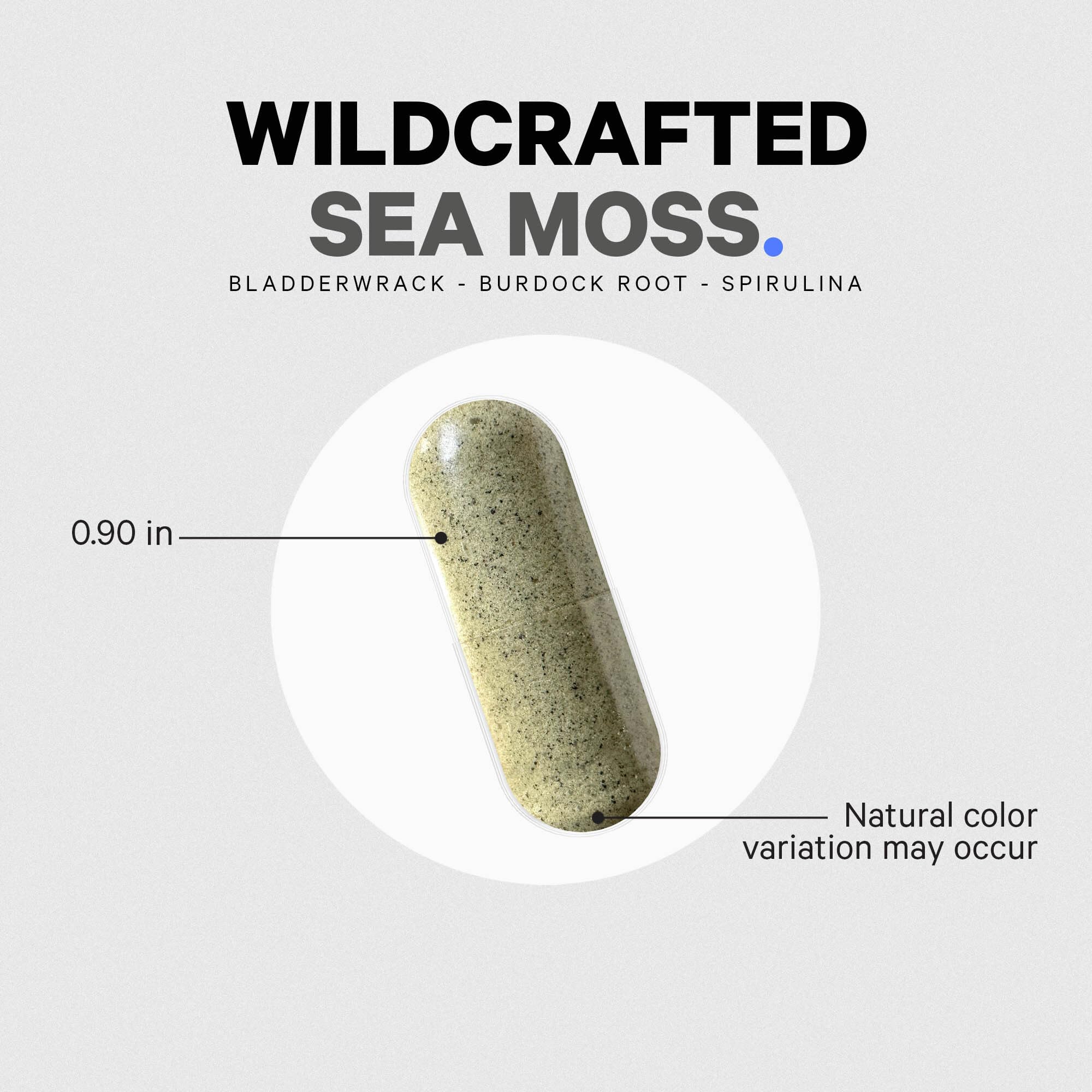 Codeage Sea Moss hecho en EE. UU., garantía de calidad y pureza