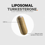 Codeage Turkesterone, libre de gluten para personas sensibles.