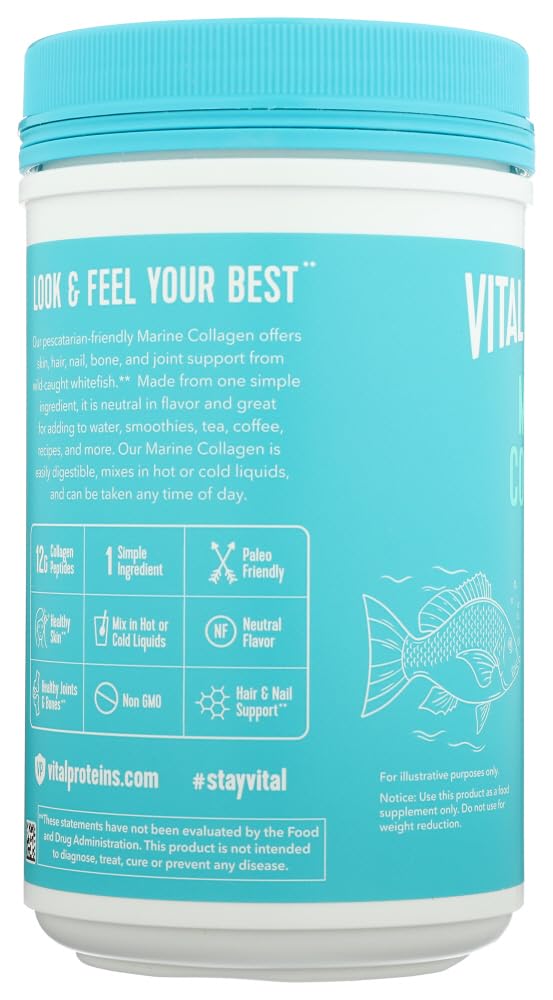 Colágeno marino Vital Proteins, cuchara de medición lista para porciones diarias.