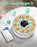 COLORWING 2025 batería recargable y sincronización por app