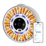 Colorwing dispensador de pildoras con 7 huecos para organización diaria y acceso fácil.