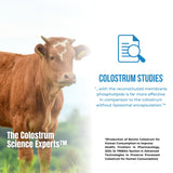 Colostrum-LD polvo textura fina observable al tacto