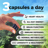 Complement Essential capsulas veganas para dieta basada en plantas