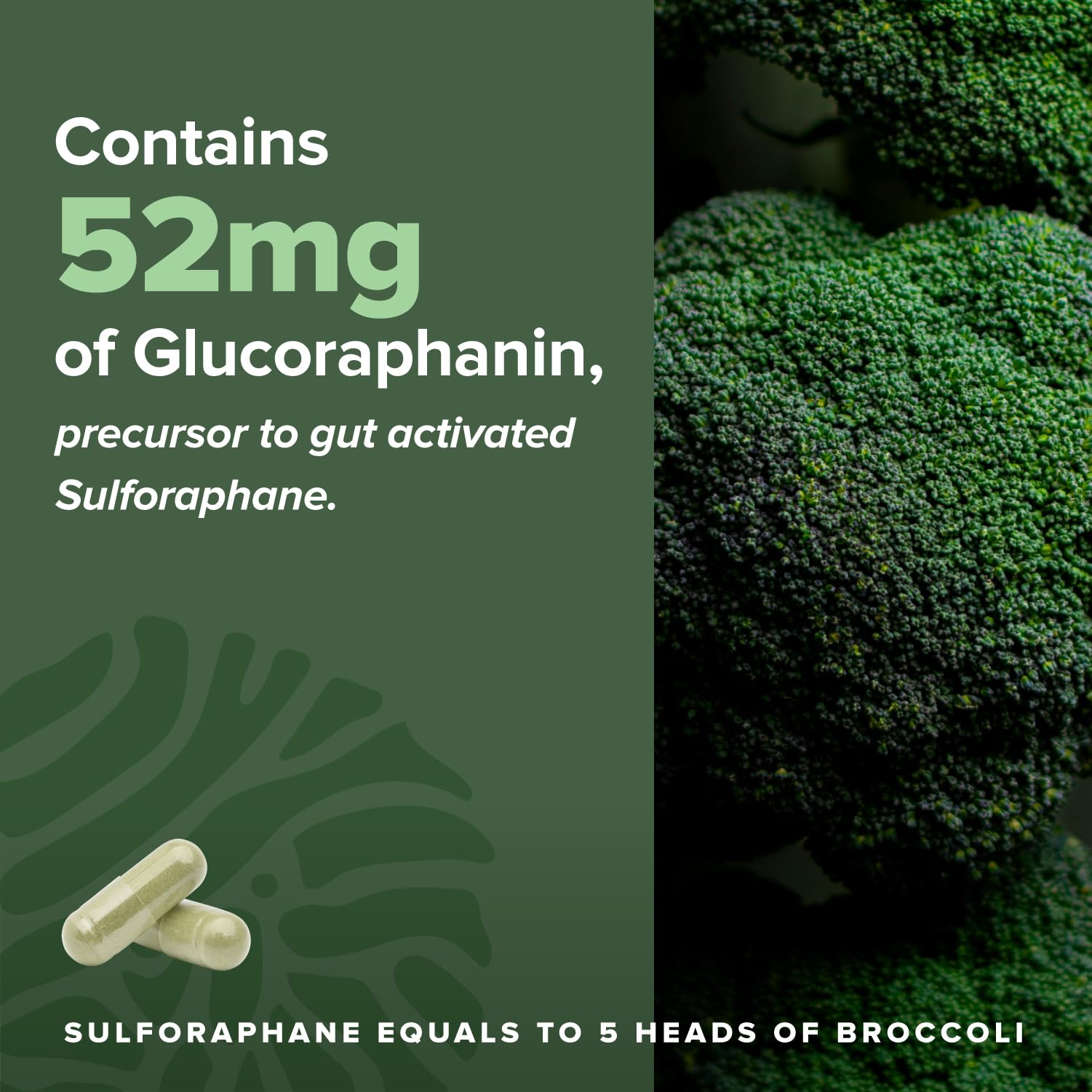 Complement Sulfora con quercetina y vitamina C para apoyo antioxidante.