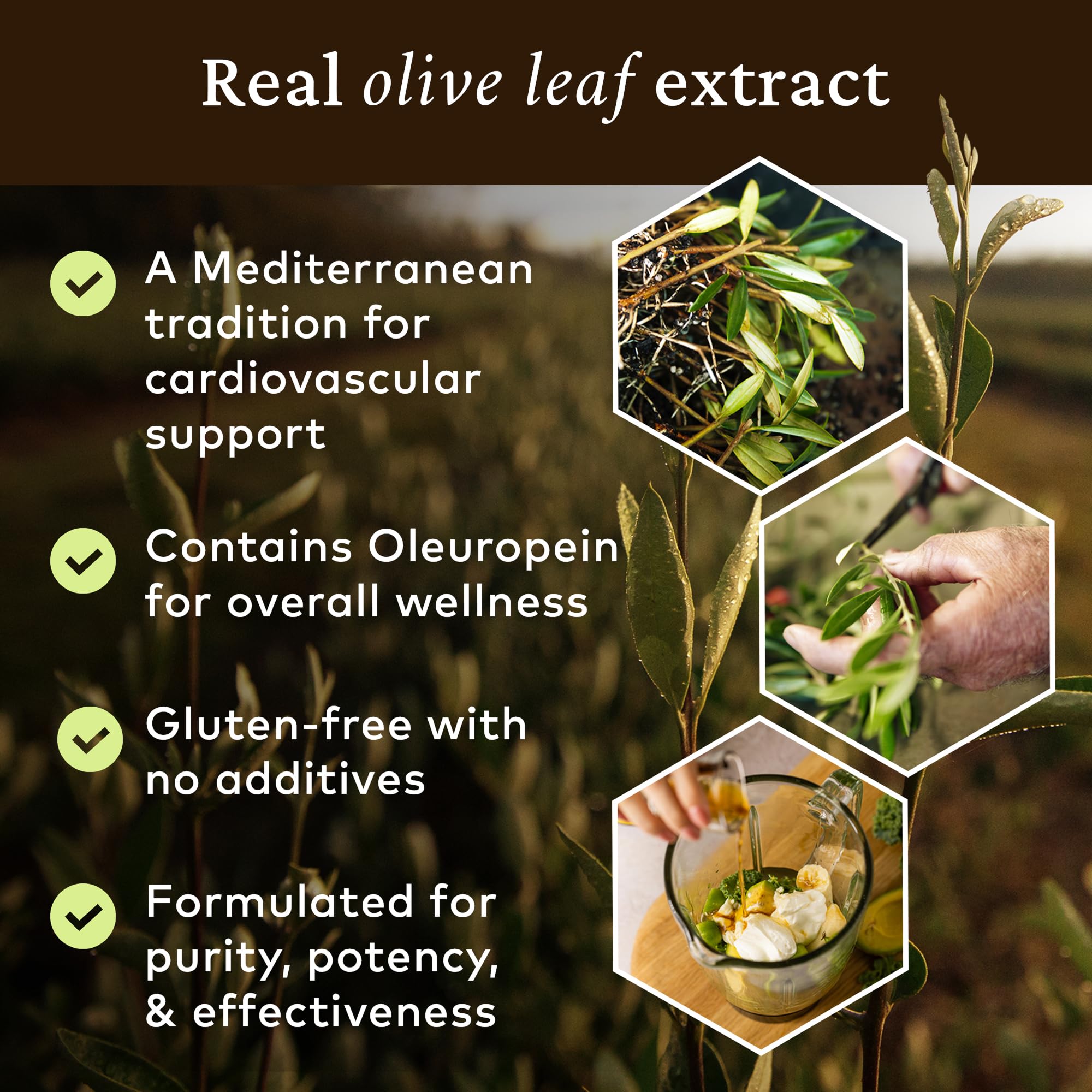 COMVITA Finca de olivo en Queensland, origen natural y trazabilidad