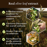 COMVITA Finca de olivo en Queensland, origen natural y trazabilidad