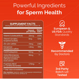 Conceive Plus L-Carnitina y Zinc: fórmula para conteo y movilidad.