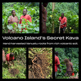 Coral Sea Kava Kelai, ingrediente noble kava, experiencia suave y sin fibras.