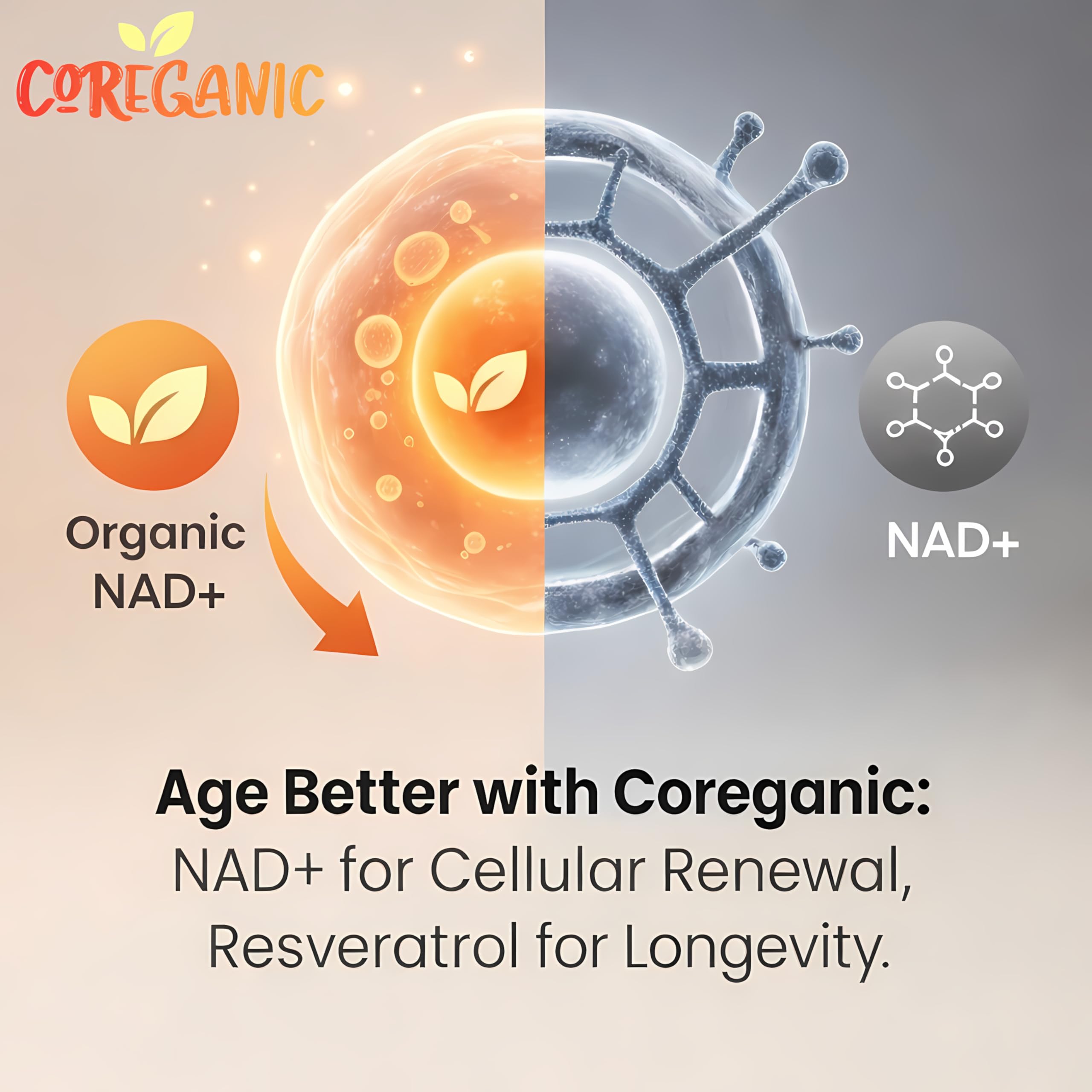 Etiqueta detallada de Coreganic Clean NAD+ con NR y ingredientes orgánicos.
