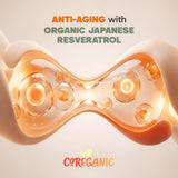 Coreganic orgánicos: resveratrol, ashwagandha y remolacha en una imagen destacada.