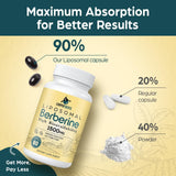 Gráfica de equilibrio celular con Corpofuerte Berberine Liposomal