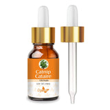 Crysalis Aceite de Catnip Nepeta cataria 15 ml, botella para aromatización suave