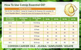 Crysalis Aceite Catnip Nepeta Catraria, ampolla segura para aplicación precisa