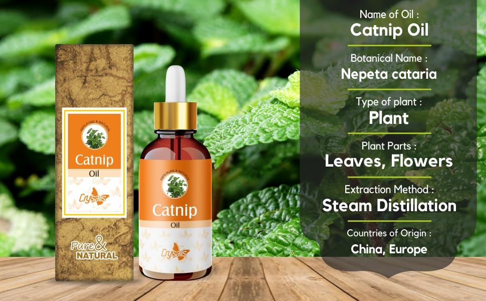 Crysalis Aceite Catnip Nepeta Catraria, uso en aromaterapia para un ambiente relajante