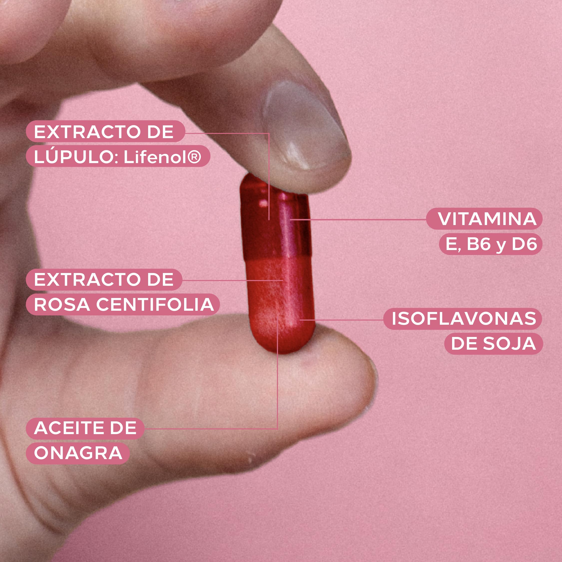 Cumlaude Gineseda almacenamiento adecuado para conservar calidad.