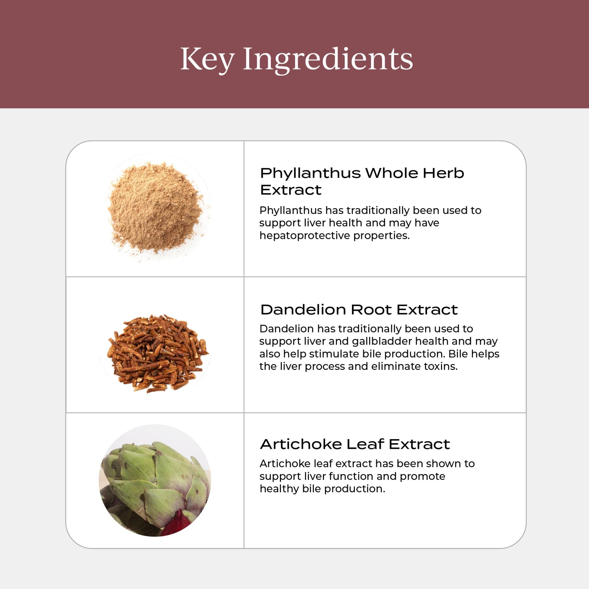 CYMBIOTIKA Ingredientes herbales: mezcla natural para cuidado hepático