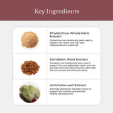 CYMBIOTIKA Ingredientes herbales: mezcla natural para cuidado hepático