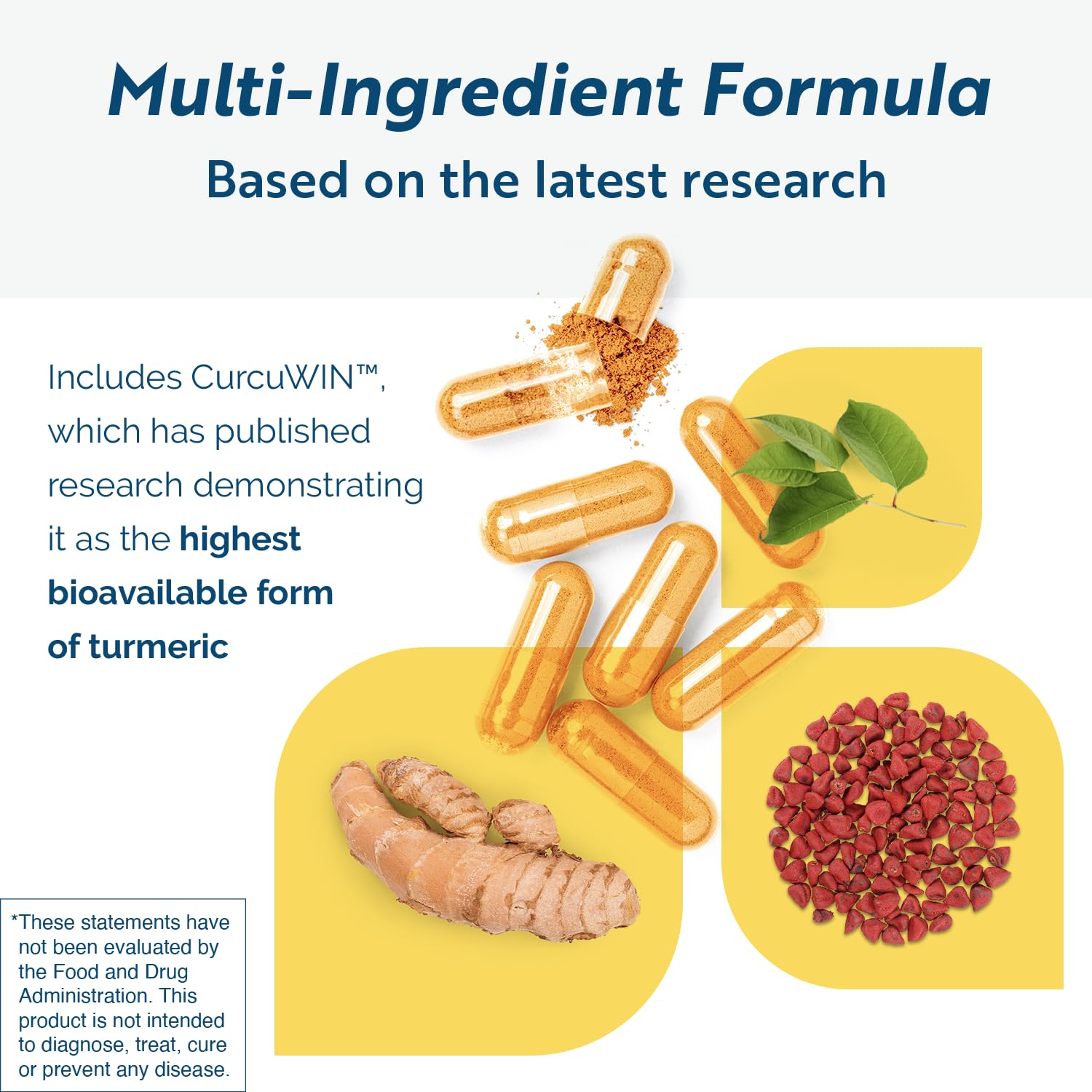 Ilustración de ingredientes clave de CytoQuel y su impacto antioxidante.