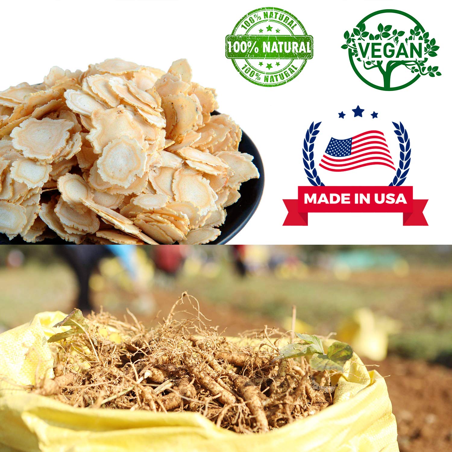 DABC OAK LAND energía natural gracias al ginseng Wisconsin