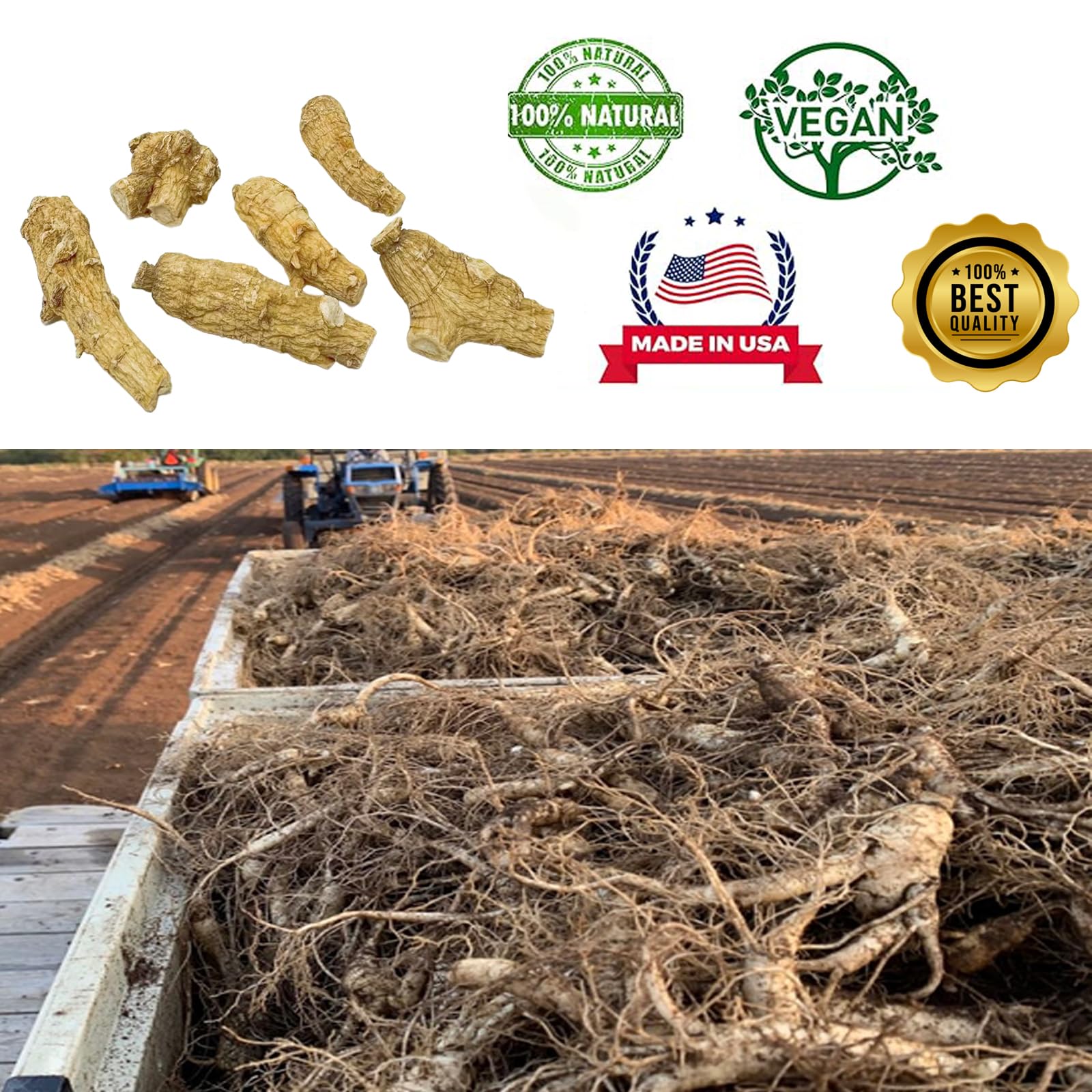 DABC OAK LAND ginseng Wisconsin, receta rápida para añadir a comidas.