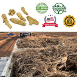 DABC OAK LAND ginseng Wisconsin, receta rápida para añadir a comidas.
