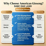 DABC OAK LAND ginseng Wisconsin, uso en bebidas para rendimiento sostenido.