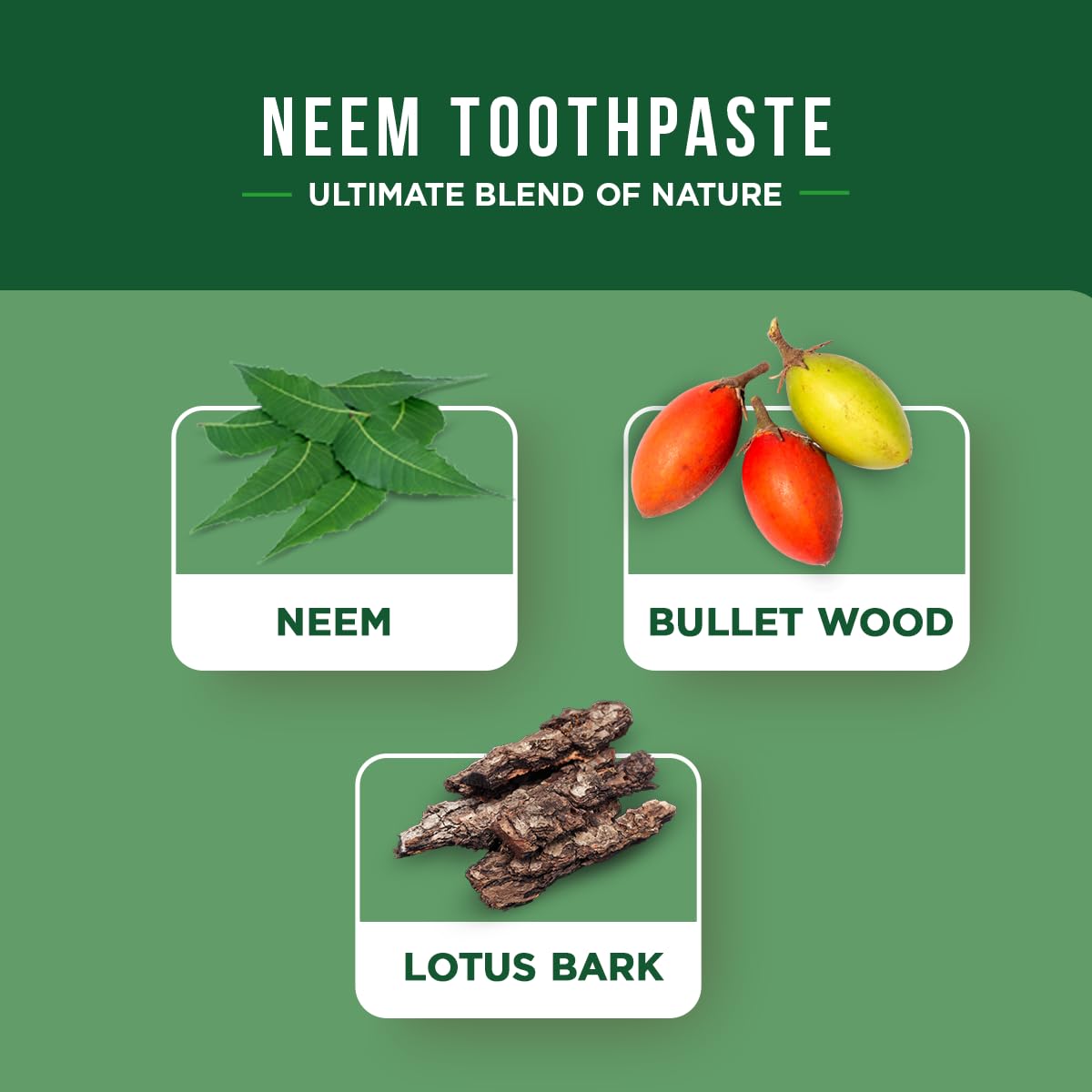 Tubo de pasta dental Dabur Neem listo para uso diario.