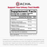 DACHA extracto de diente de león, cápsulas para apoyo digestivo y hepático.