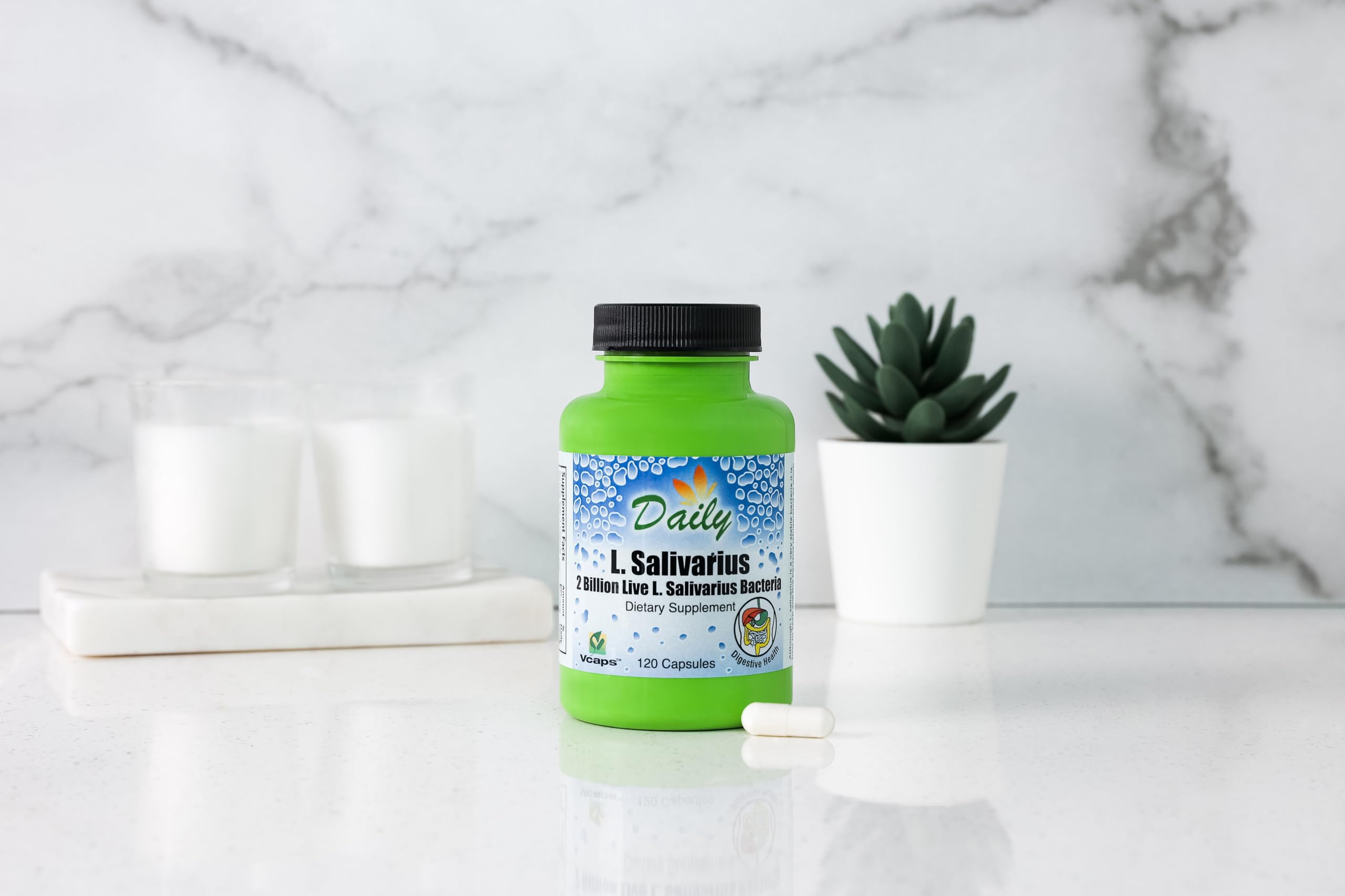 Daily Manufacturing L-Salivarius FOS, prebiótico que apoya bacterias beneficiosas.