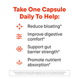 Daily Nouri Digestive: apoyo al microbioma diario para mujeres y hombres