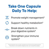 Daily Nouri Weight Support Probiotics, primer plano de cápsulas, formato avanzado para mayor entrega al intestino.