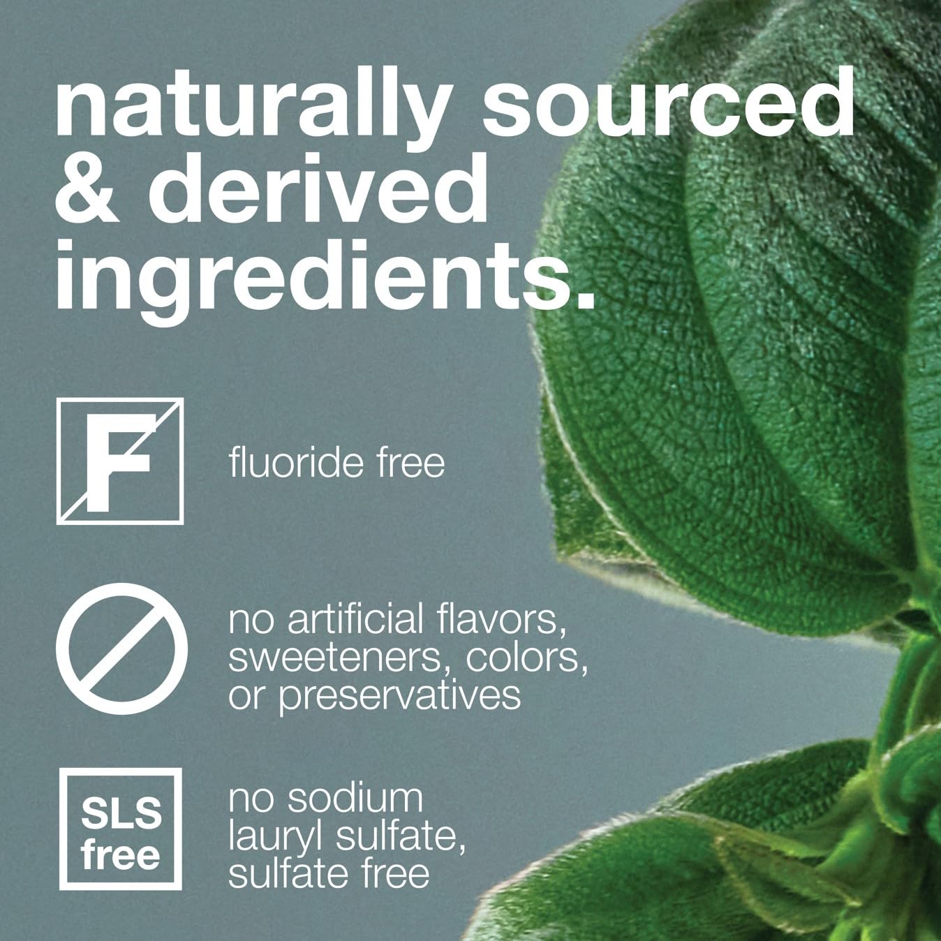 Davids crema dental con etiqueta EWG verificada y ingredientes naturales.