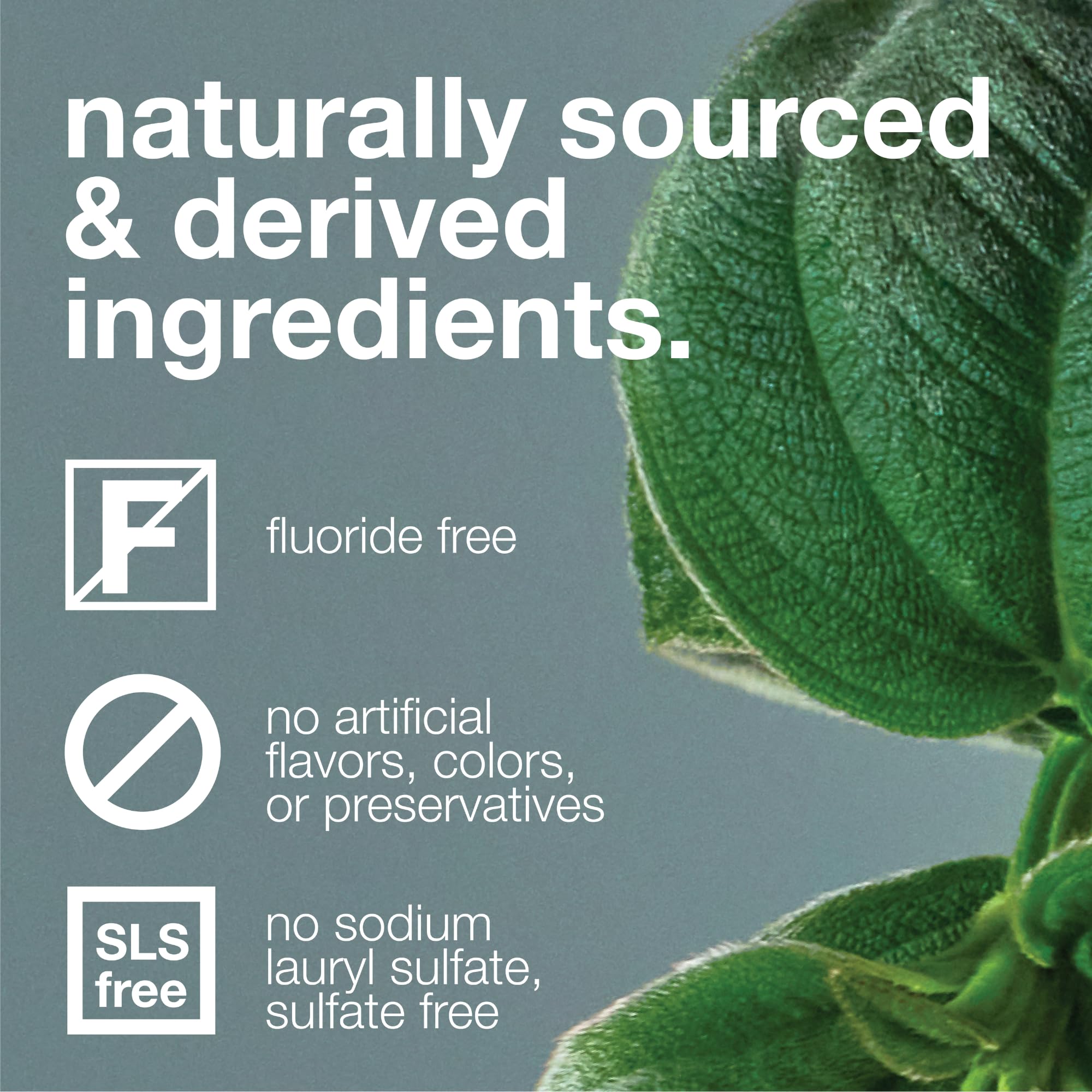 Davids pasta dientes anti-placa menta en tamaño de viaje