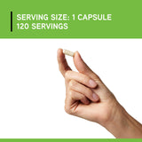 Cápsula DIMPro vista al detalle mostrando DIM, vitamina E y fosfatidilcolina.