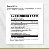 Extracto de té verde en DAVINCI Adipo-Leptin: antioxidantes y energía suave.