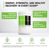 DAVINCI LABS Creatine Powder se mezcla con batidos sin alterar el sabor, facilitando el consumo