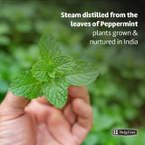 De La Cruz frasco de aceite de menta con etiqueta clara