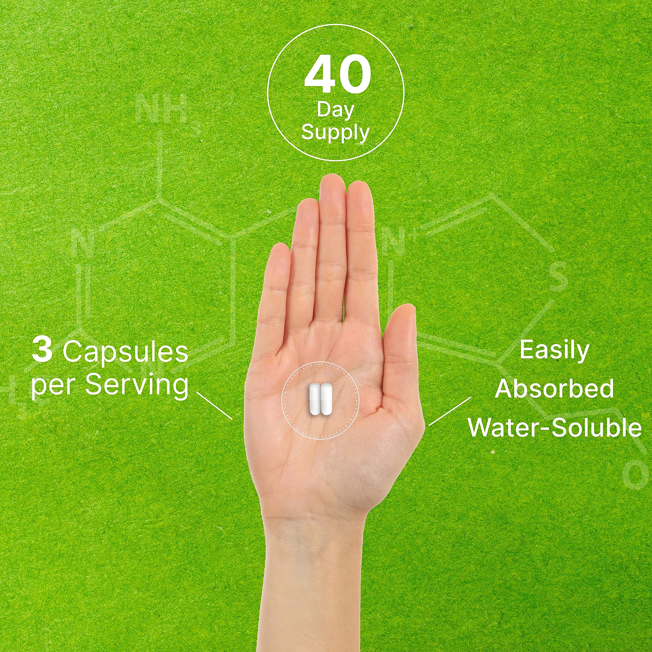 DEAL SUPPLEMENT Citicolina: dosis diaria para sostener el cerebro