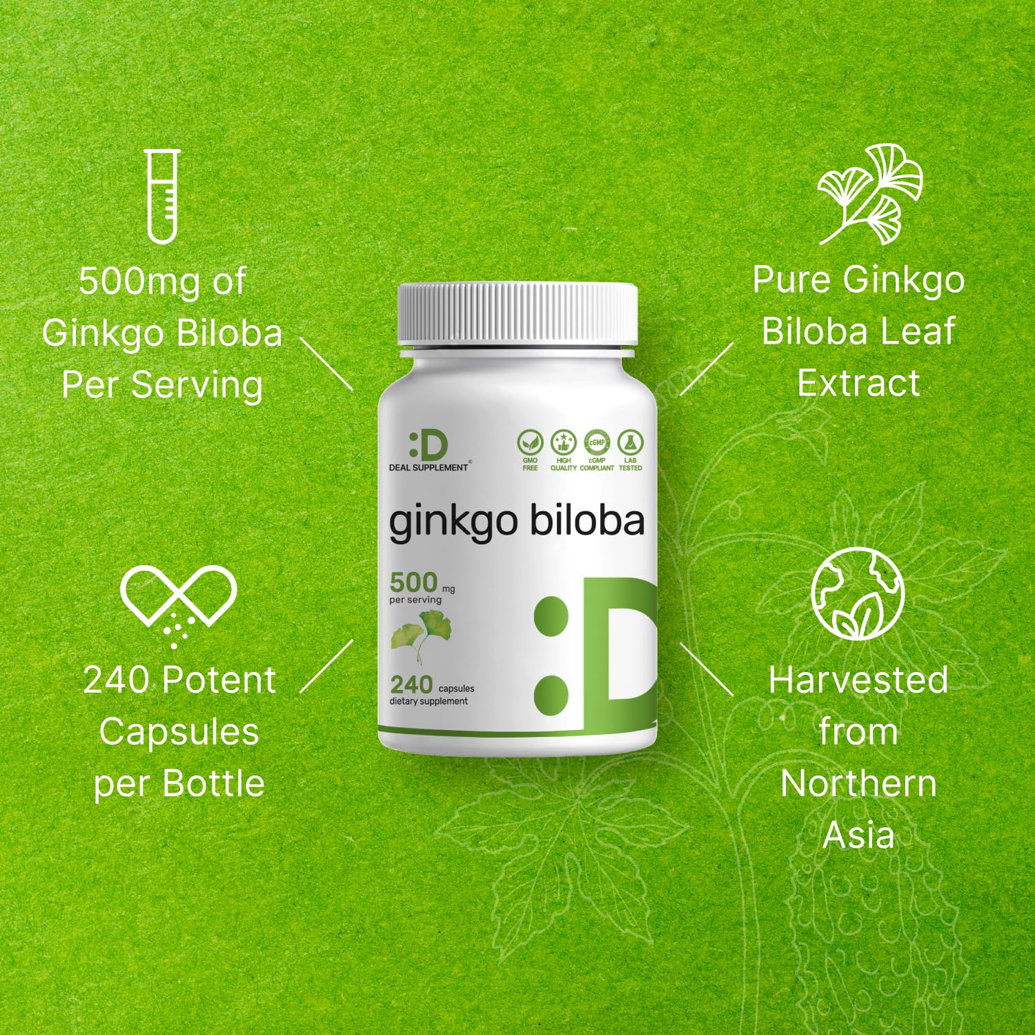 DEAL SUPPLEMENT Ginkgo Biloba, etiqueta resume la composición para referencia rápida.