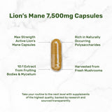 Deal Supplement Lions Mane cápsulas detalle para dosis fácil.