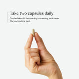 Dear Apothecary berberina hcl uso diario recomendado