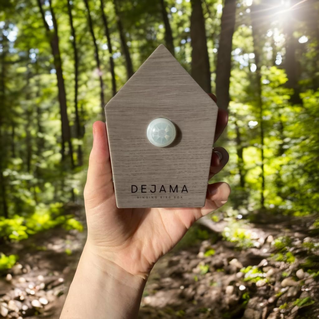 Dejama: sonidos de aves realistas para un paisaje sonoro natural