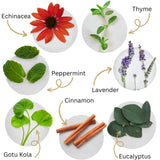 Sensación fresca y limpia tras usar el enjuague herbal de la marca