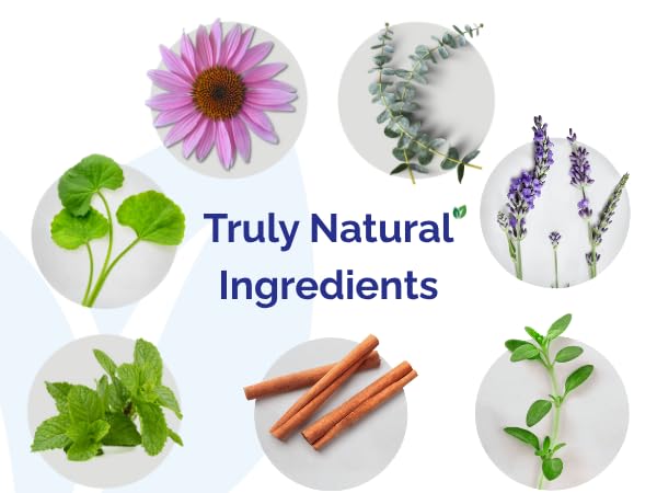 Tonico bucal Dental Herb Company, líquido claro para higiene bucal suave.