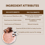 Ingredientes clave de Designer Egg: proteína sin gluten ni lactosa.